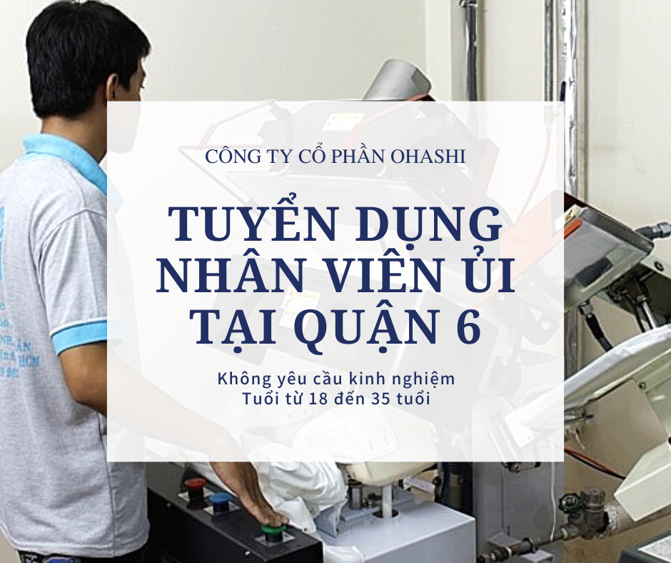 lĩnh vực hoạt động